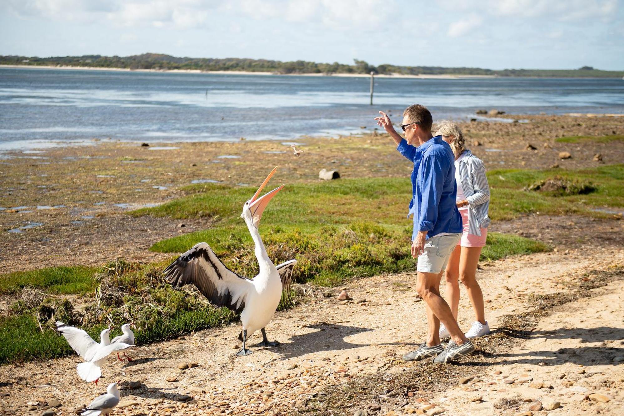 Mercure Kangaroo Island Lodge American River Dış mekan fotoğraf