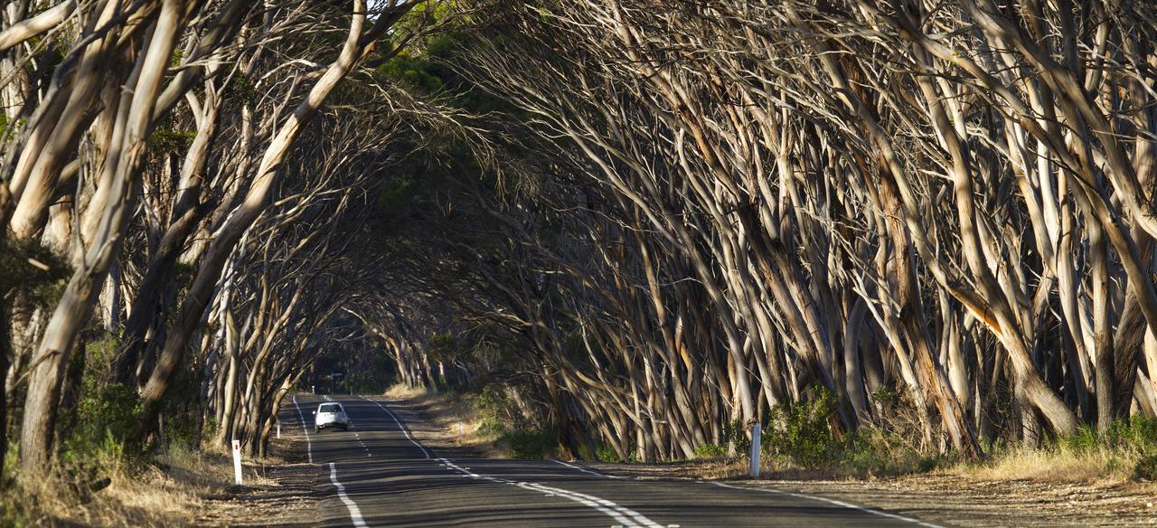Mercure Kangaroo Island Lodge American River Dış mekan fotoğraf
